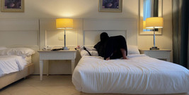 Lux Eva: Встретил арабскую девушку в отеле