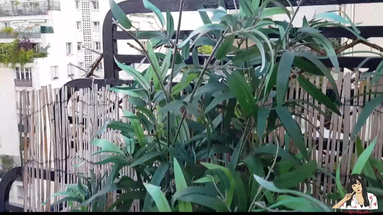 SpicyGum: June Liu &amp; ZiaxBite - 中国女孩在埃菲尔铁塔旁边的巴黎阳台上的户外2男1男浪漫3P