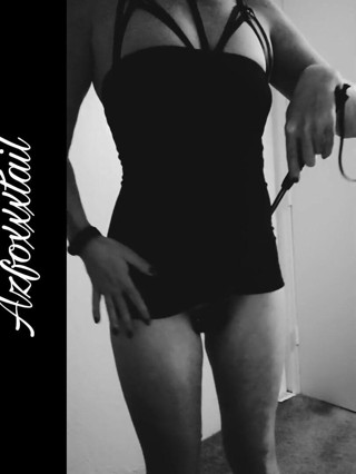 AzFoxxxTailPhelicia: Whip1_22-03-06