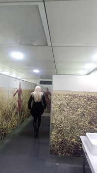 Video_20250124_063800.