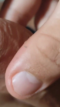 Straight Grandpa Pumping His Strong Cock Full of Pre Cum.