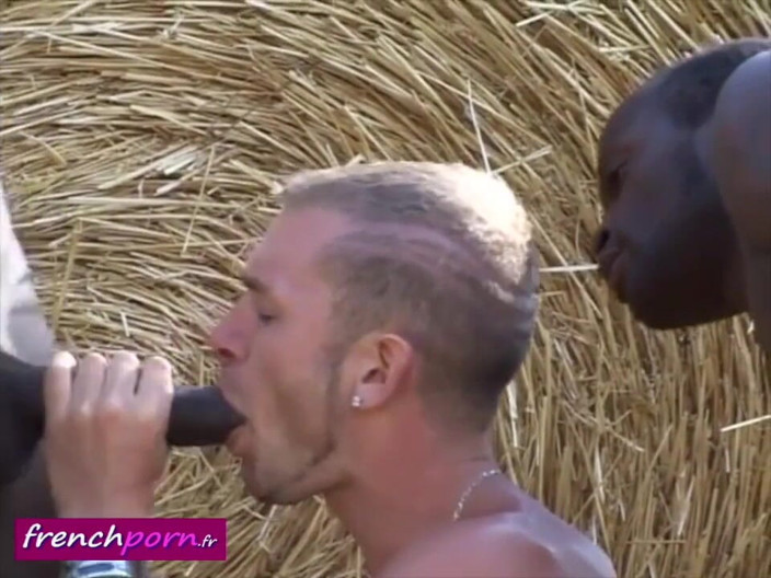 French Porn: FrenchPorn - Black dicks