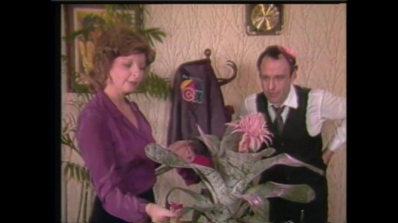 Vintage Usa: Hair After Hair in a Hard Scene