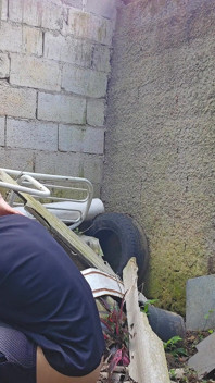 Hermanastra dijo solo mira ... ¡Pero mira lo que pasó! en un lote vacante