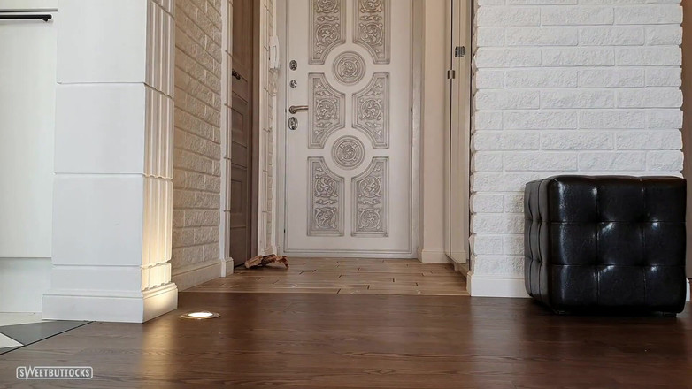 SweetButtocks: Вона вставила анальна пробка в дупу прямо перед кур'єром