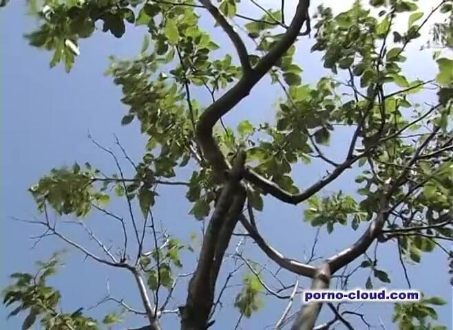 Porno Cloud: Vesnický venkovní sex