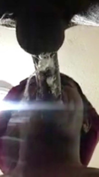 Blowjob super selamba *selamba deepthroat*
