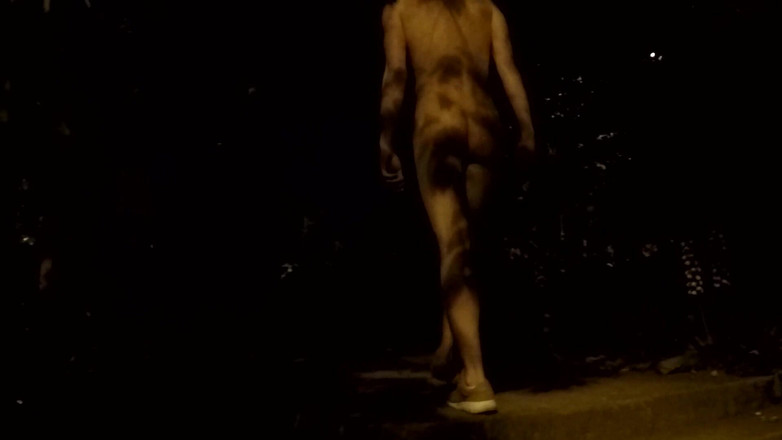 outdoor-fun: Křižování v parku v noci - Nahá 2