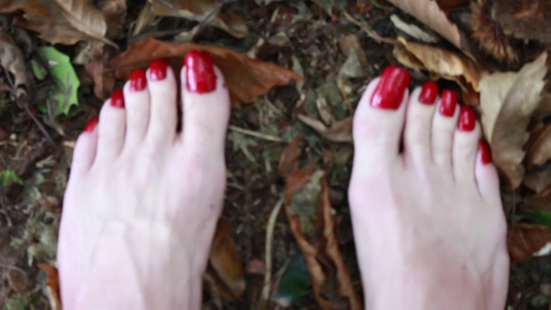 Lilly Disgrace: Plimbare prin pădure