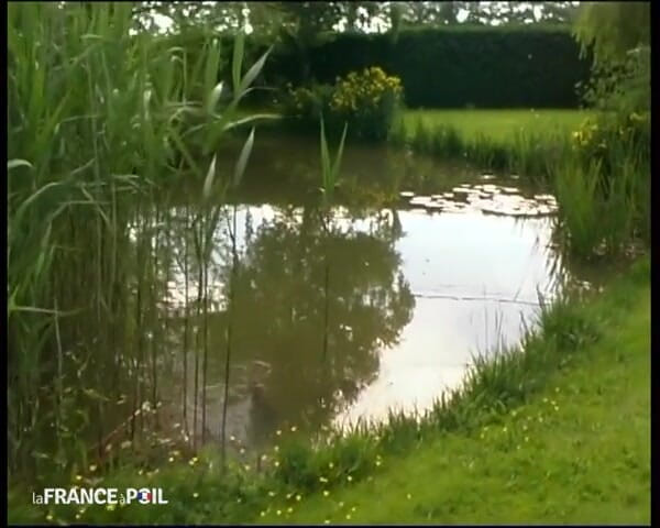 French Family Secrets: 操地狱，她很好！