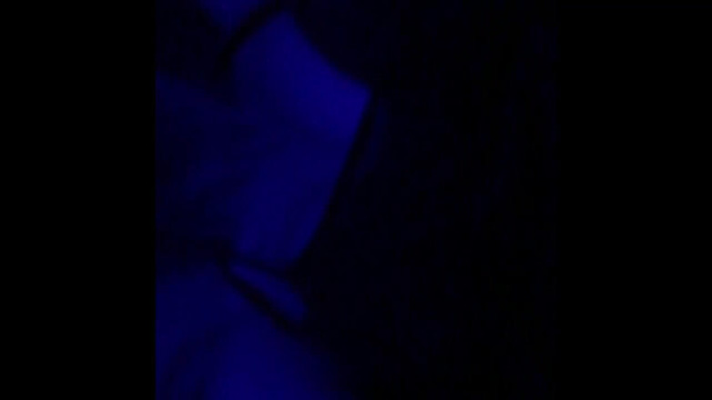 We the North Entertainment: Cassie Quinn masturbating with my cock