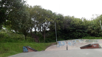 The Midnight Minx: Ragazza skater troia