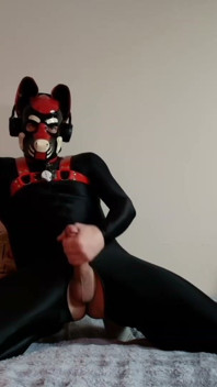 Needy Black Suit Pup Strokes and Cums. Full on My Fancentro