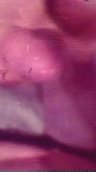 Il vaso del sesso latino 01 - (film del restyling in versione full HD)