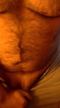 Flămândăhairymonsterbearcub