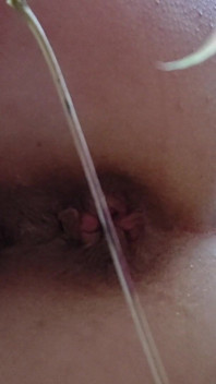 Licking Ass