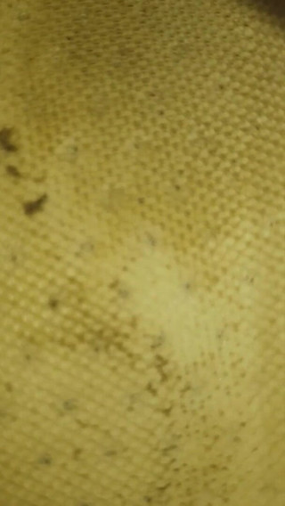 Simp to my ebony feet: come and look inside my dirty 3 days worn trainers
