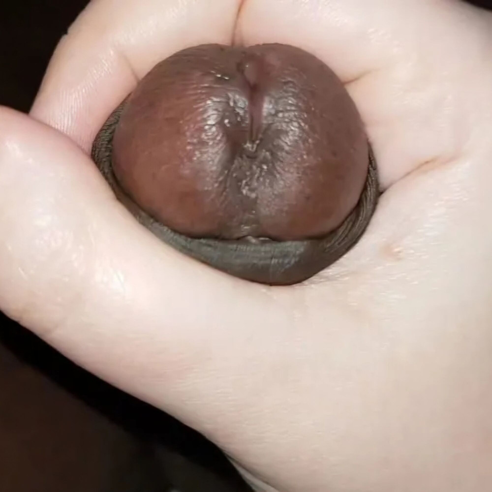 Faphouse