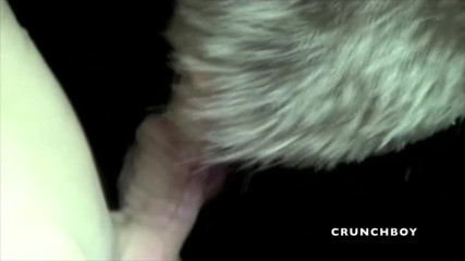 Crunch Boy: Chơi tập thể thổi kèn trong khi bay