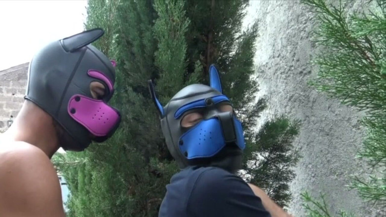 The bareback attack dungeon: Enjoy This Amazing French Porn Amator Bareback with Dudes so...