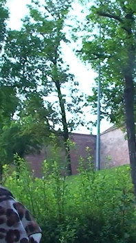 Sexy Brunette Teen Kattye Flashing Boobs and Pussy at the Park