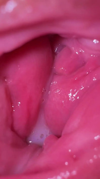 12 Min of Extreme Close up Fucking Video of 20 Years Old Very Beautiful Girl
