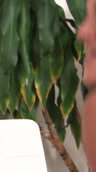 Lesbians Cytherea, Olivia Wilder and Dior Love have a juicy interracial threesome