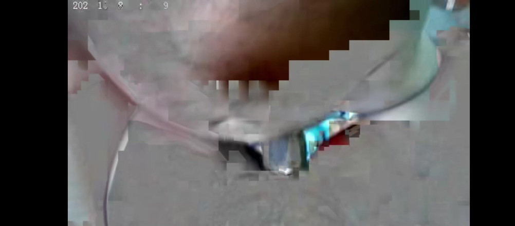 Mr desi entertainment: Tamil desi ateşli kız arkadaş güzel sikiliyor