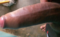 Elpitudo: Mexický Pitudo