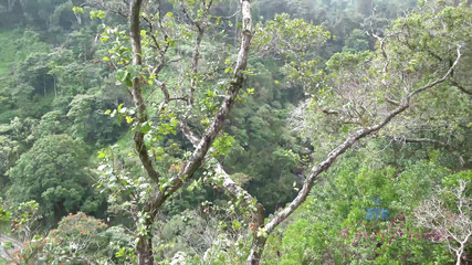 ATK Girlfriends: Vacanze virtuali hawaii con sophia leone 4/6