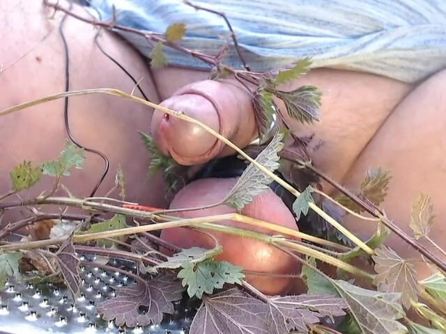 Gaylectrician: Seronok dengan nettles