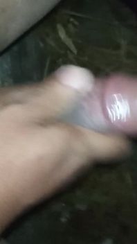 Honění
