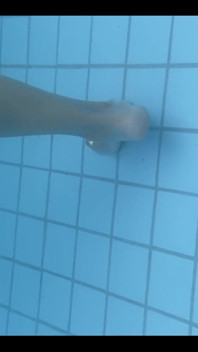 Refreshing Myself on Pool