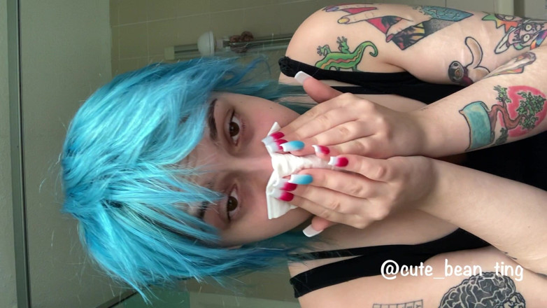 Alice Bean: Snotty Honks