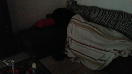Karina S Palacios - Fredo Sebastieno Palacios: | wake up stepson lucky the pet who surprising the...