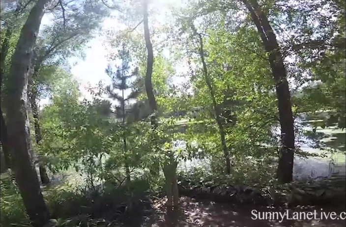 Sunny Lane: Sunny Lane, fille d’à côté, joue dans la nature !