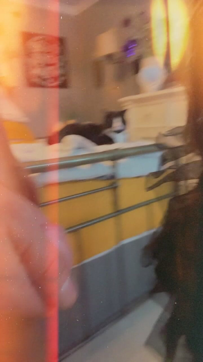 Luxe Won: Dammi da mangiare!