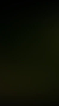 Walking in the Woods at Night