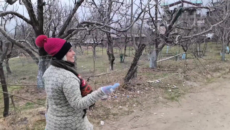 pujaprem: Одна ніч на горі