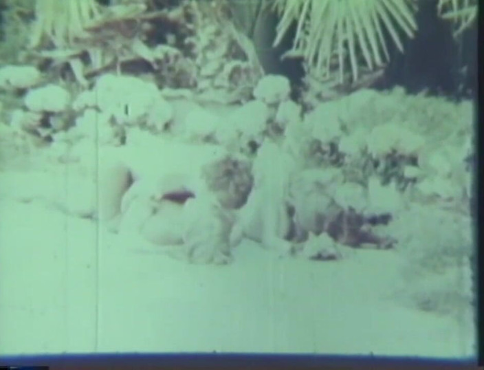 Vintage Usa: Seks vintage panas di luar ruangan di tepi kolam renang!