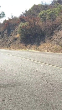 Biphoria- la calda coppia gay latina distrugge la troia autostoppista