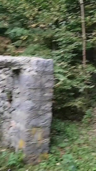 Yaşlı bir çift halka açık bir parkta sikini emerken gördü - bakış açısı