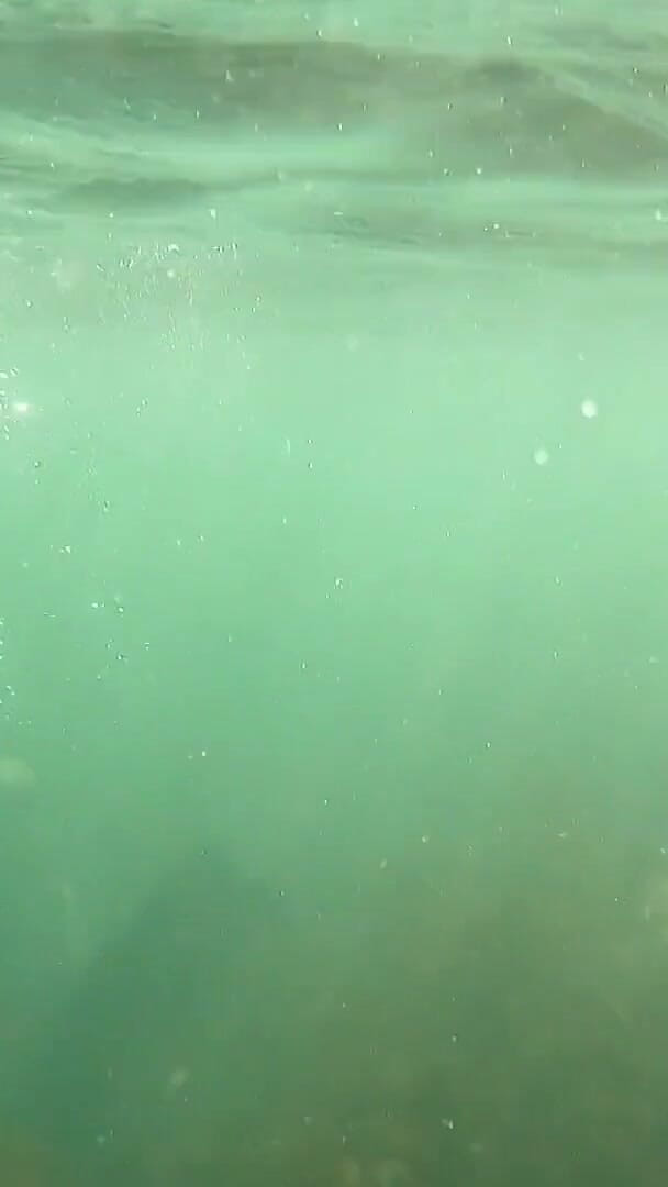 UKCuteGirl Lucy Lauren: Open Water Freedive Ultra Long fins, Wetsuit aur Snorkel giyar