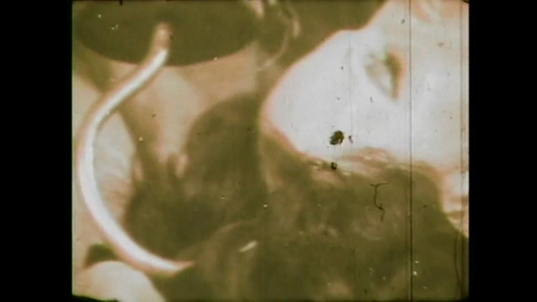 Vintage megastore: 物乞いと一緒にいる痩せた女性