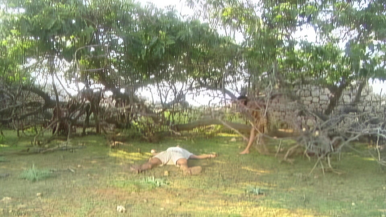 Vintage Movies XXX Best of: 野生の猫は自然界でたくさんのチンポを食べます