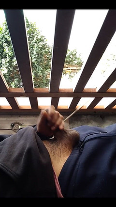 AlexAlejandro13: Începând de la o zi la alta