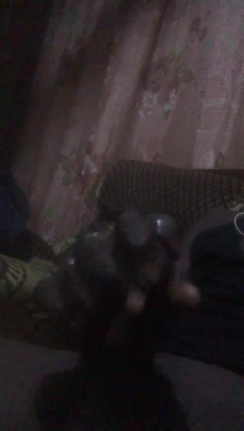 yobo1nene: Amadu