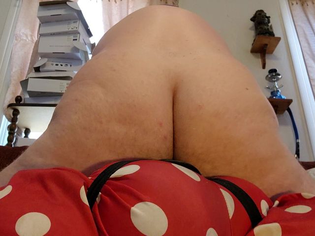 Hole Training Part 3 (Loo The Pig)