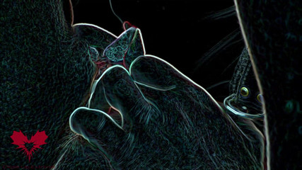 Close Up Extreme: Satanské lízání kundičky. Rituální lízání a sání přivádí Lilith k...