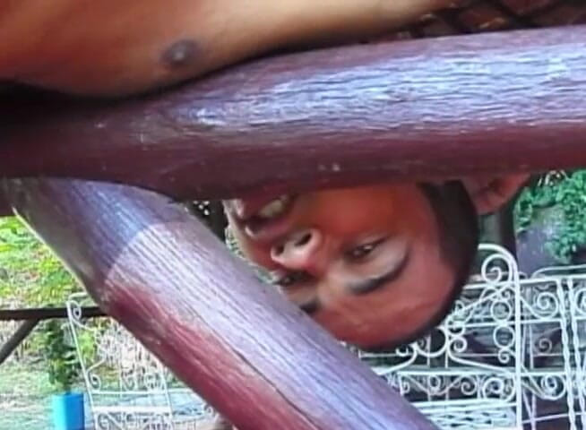 Bareback TV: Keseronokan luar Brazil